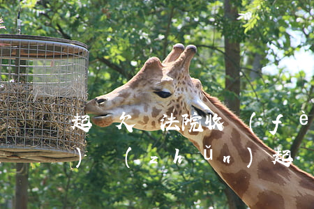 起訴欠錢法院收費(fèi)標(biāo)準(zhǔn)(起訴欠錢法院收費(fèi)標(biāo)準(zhǔn))