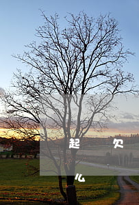 起訴欠錢的坐牢 欠錢起訴坐牢后還需要還錢么