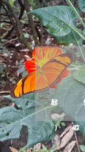 起訴欠錢的多久(起訴欠錢的多久會(huì)收到傳票)
