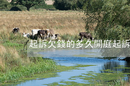 起訴欠錢的多久開庭(起訴欠錢的多久開庭呢)