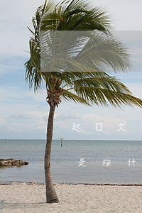 起訴欠錢的律師費贏了誰出(起訴欠錢律師費是按什么收取的)