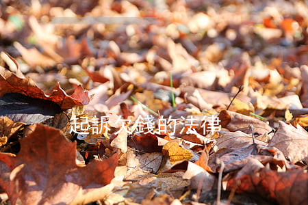 起訴欠錢的法律