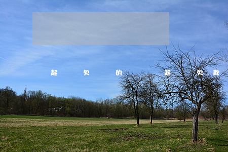 起訴欠錢的計劃(起訴欠款)