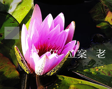 起訴欠錢立案與老賴(法院起訴就是老賴了嗎?)