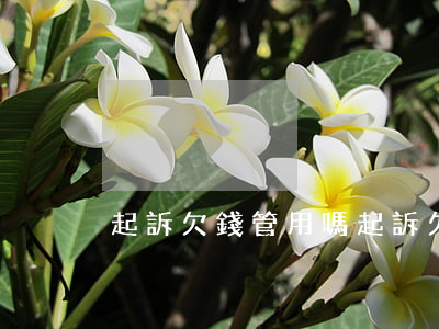 起訴欠錢管用嗎(起訴欠錢管用嗎知乎)