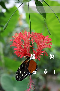 起訴欠錢者法院管轄(欠款起訴去法院哪個(gè)部門)