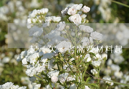起訴欠錢者需要材料(起訴欠錢需要提供什么材料)