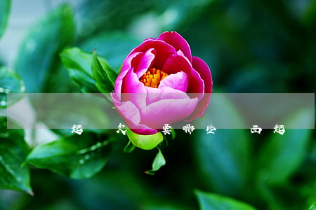 起訴欠錢要哪些東西(起訴欠錢需要哪些材料)