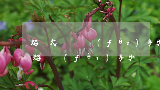 起訴欠錢訴訟費(fèi)多少錢(起訴欠錢起訴費(fèi)多少)