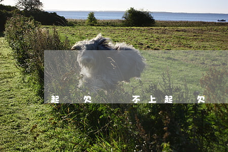 起訴欠錢還不上 起訴欠錢還不上