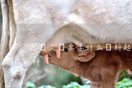 起訴欠錢需要什么資料（起訴欠錢需要哪些材料）