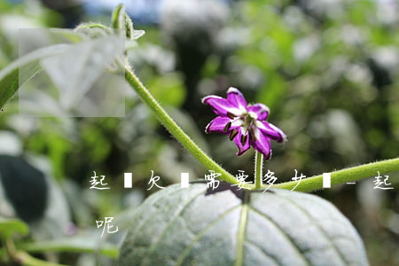起訴欠錢需要多少錢-起訴欠錢需要多少錢呢