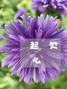 起訴欠錢需要證人嗎(起訴欠錢需要證人嗎怎么寫)