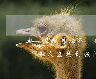起訴法院可以不請律師嗎(可不可以不請律師當事人直接到法院起訴)