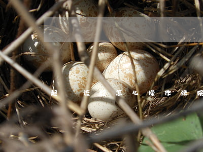 起訴流程怎么操作(法院的起訴流程)