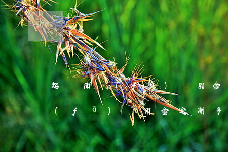 起訴浦發(fā)萬用金能勝訴嗎（上海浦發(fā)萬用金逾期多久會起訴）