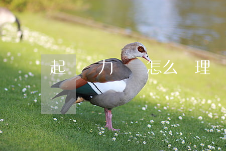 起訴無力償還怎么辦理