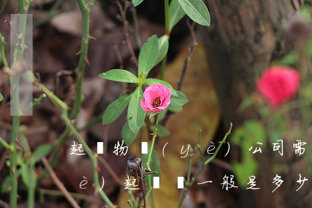 起訴物業(yè)公司需要多少錢(物業(yè)起訴費一般是多少錢啊)