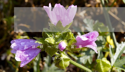 起訴狀一定要當事人簽字嗎(民事起訴狀必須本人簽字嗎)