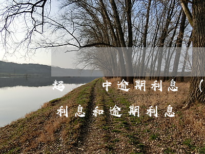 起訴狀中逾期利息計(jì)算(訴訟期間的利息和逾期利息)