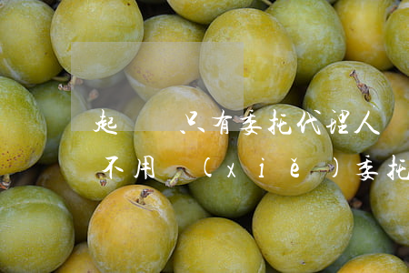 起訴狀只有委托代理人簽字可以嗎(起訴狀用不用寫(xiě)委托人)