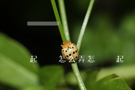 起訴狀怎么弄(怎樣寫起訴民事起訴狀)