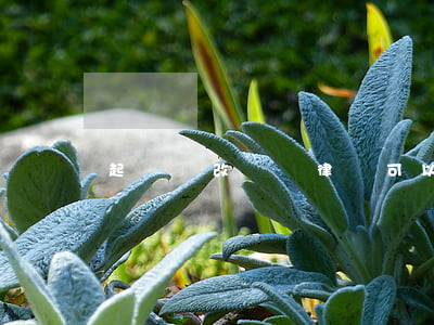 起訴狀改時間律師可以簽字嗎(起訴狀能改嗎)