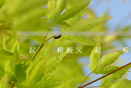 起訴狀模板(欠錢起訴狀模板)