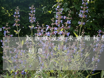 起訴狀沒要求逾期利息怎么辦(訴訟請求逾期利息)