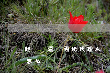 起訴狀要寫委托代理人嗎(起訴狀法定代理人怎么寫)