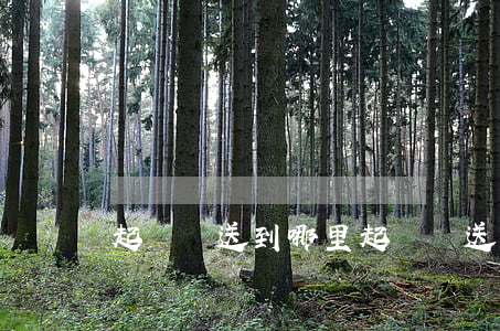起訴狀送到哪里(起訴書送到哪里)