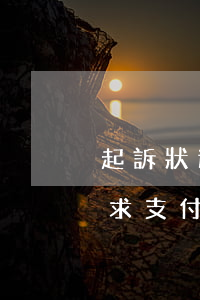 起訴狀逾期還款利息的表述(請(qǐng)求支付逾期利息的起訴狀)