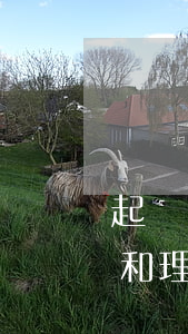 起訴狀里面的事實與理由怎么寫(起訴狀事實和理由怎么寫)
