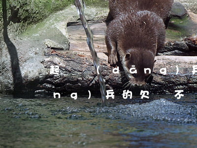 起訴當(dāng)兵的欠錢不還(當(dāng)兵的欠債不還)