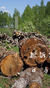 起訴當(dāng)兵的欠錢(起訴正在當(dāng)兵的人)