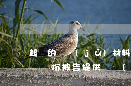 起訴的證據(jù)材料要準(zhǔn)備幾份(被告提供證據(jù)材料幾份)