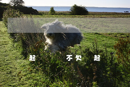 起訴確認不欠錢(起訴確認不欠錢會怎么樣)