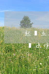 起訴立案后還能跟被訴人聯(lián)系嗎?(法院怎么聯(lián)系被起訴的人)