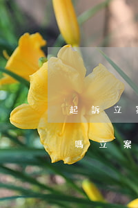 起訴立案后還能跟被訴人聯(lián)系嗎?(立案了還能起訴嗎)