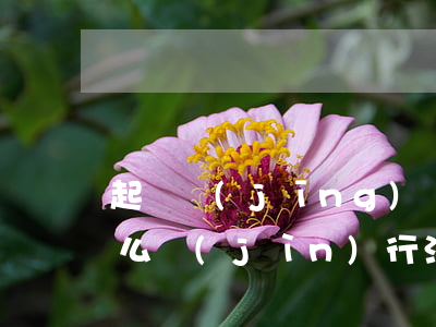 起訴經(jīng)濟(jì)糾紛流程怎么進(jìn)行(法院起訴流程 民事糾紛 經(jīng)濟(jì)糾紛 自己去)