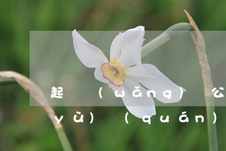 起訴網(wǎng)貸公司侵犯隱私名譽(yù)權(quán)（起訴網(wǎng)貸名譽(yù)權(quán)）