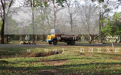 起訴網(wǎng)貸公司勝率高(起訴網(wǎng)貸公司怎么起訴)