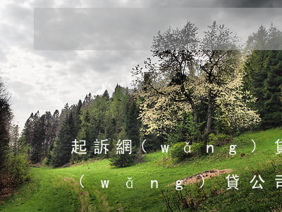 起訴網(wǎng)貸公司咋起訴的（起訴網(wǎng)貸公司咋起訴）