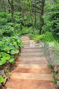 起訴網(wǎng)貸公司能成功嗎