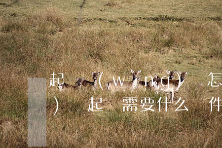 起訴網(wǎng)貸怎么辦(網(wǎng)貸起訴需要什么條件)