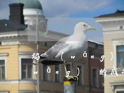 起訴網(wǎng)貸的成本高嗎(起訴網(wǎng)貸的成本高嗎怎么辦)