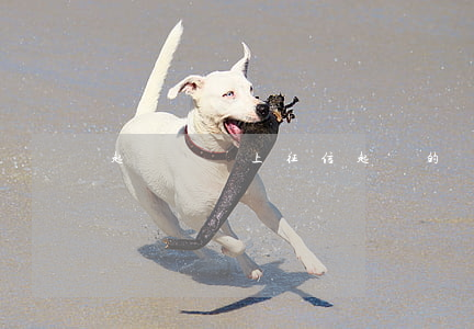 起訴網貸上征信(起訴的網貸)