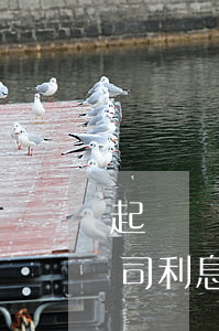 起訴網貸公司利息過高怎么處理（起訴網貸公司利息過高）