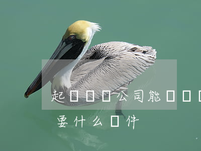 起訴網貸公司能贏嗎(網貸公司起訴借款人需要什么條件)