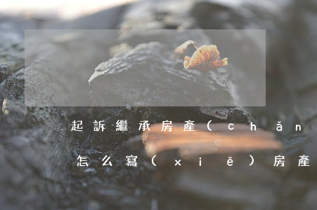 起訴繼承房產(chǎn)權(quán)怎么寫(xiě)(房產(chǎn)繼承起訴需要什么材料)